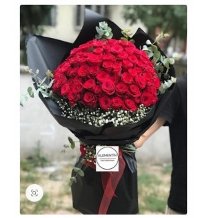 VİP 101